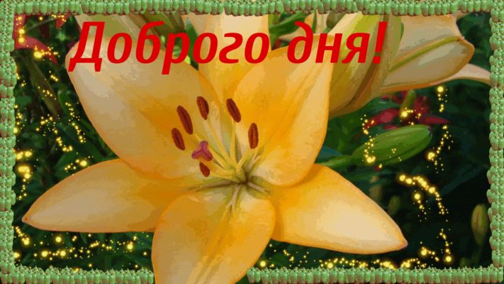 Открытка «Добрый день»: Доброго дня! Красивая открытка с нежным цветком. Тэги: Добрый день и добрые пожелания, Добрый…