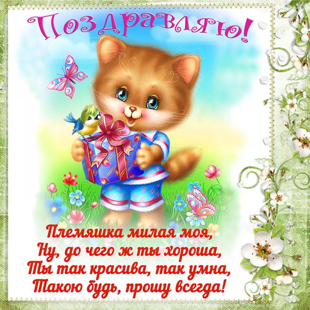 Открытка «Кот»: Поздравляю, милая племянница!. Тэги: животное, пожелание, улыбка, красивая, позитив, радость, цветок…