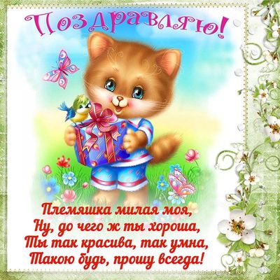 Открытка «Кот»: Поздравляю, милая племянница!. Тэги: животное, пожелание, улыбка, красивая, позитив, радость, цветок…