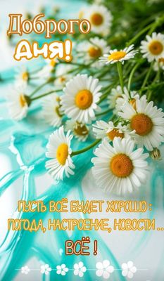 Открытка «Пожелание»: «Доброго Дня!» Красивая открытка с ромашками и позитивом. Тэги: улыбка, красивая, позитив…