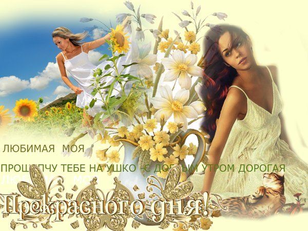 Открытка «С добрым утром»: Любимой: С Добрым Утром и Прекрасного Дня!. Тэги: пожелание, улыбка, женщина, красивая…