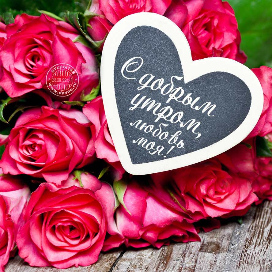 Открытка «С добрым утром»: С добрым утром, любовь моя! Красивые розы. Тэги: пожелание, утро, мужчина, женщина, красив…