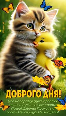 Открытка «Кот»: Добрый день с котенком и утенком: Нежность и позитив. Тэги: животное, пожелание, улыбка, красивая…