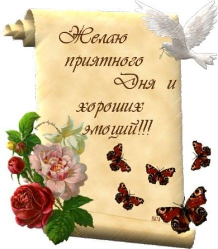 Открытка «Добрый день»: Приятного Дня и хороших эмоций: Открытка с пожеланием. Тэги: Добрый день и добрые пожелания…