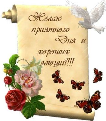 Открытка «Добрый день»: Приятного Дня и хороших эмоций: Открытка с пожеланием. Тэги: Добрый день и добрые пожелания…