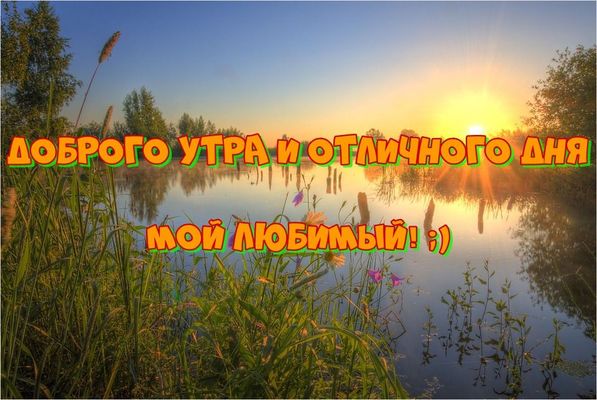 Открытка «Пожелание»: Доброе утро, любимый! Отличного дня и солнца. Тэги: утро, мужчина, красивая, позитив, радость…