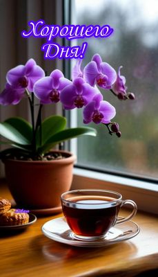 Открытка «Пожелание»: Хорошего Дня! Красивая открытка с цветком и чаем. Тэги: улыбка, красивая, позитив, радость…