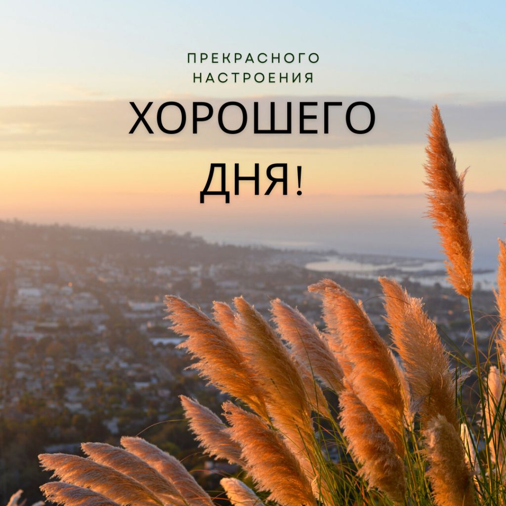 Открытка «Пожелание»: Прекрасного настроения и Хорошего Дня! Красивый пейзаж. Тэги: улыбка, утро, красивая, позитив…