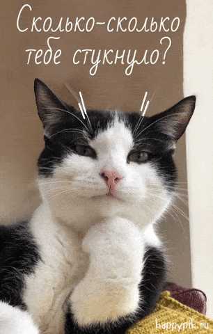 Открытка «Добрый день»: Сколько стукнуло? Открытка с котом и юмором. Тэги: Добрый день и добрые пожелания, Добрый день…