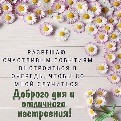 Открытка «Пожелание»: Красивая открытка: Доброго дня, позитив и настроение. Тэги: улыбка, красивая, позитив, радость…