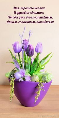 Открытка «Пожелание»: Красивая открытка: дня хорошего и позитивного!. Тэги: улыбка, красивая, позитив, радость…