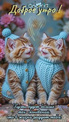 Открытка «Кот»: Милые котята желают доброго утра и радости!. Тэги: животное, пожелание, прикольная, улыбка, шапка…