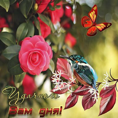 Открытка «Животное»: Красивая открытка: Удачного дня с птицей и цветами!. Тэги: пожелание, улыбка, красивая, позитив…