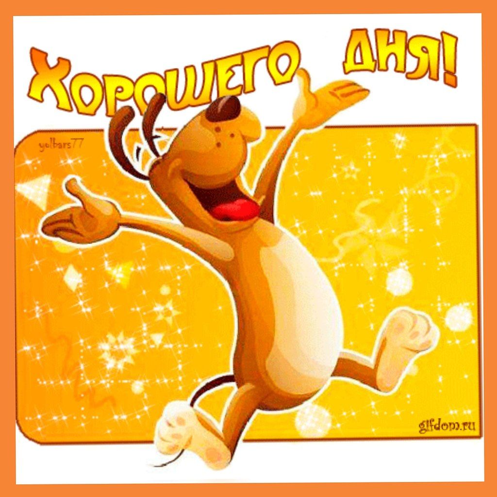 Открытка «Хорошего дня»: Яркая открытка «Хорошего дня!» с веселым псом. Тэги: Добрый день, классный, Добрый день и до…