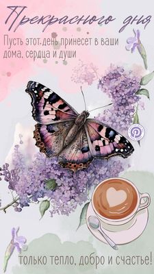 Открытка «Пожелание»: «Прекрасного дня!»: нежная бабочка, кофе и счастье. Тэги: улыбка, красивая, кофе, позитив…