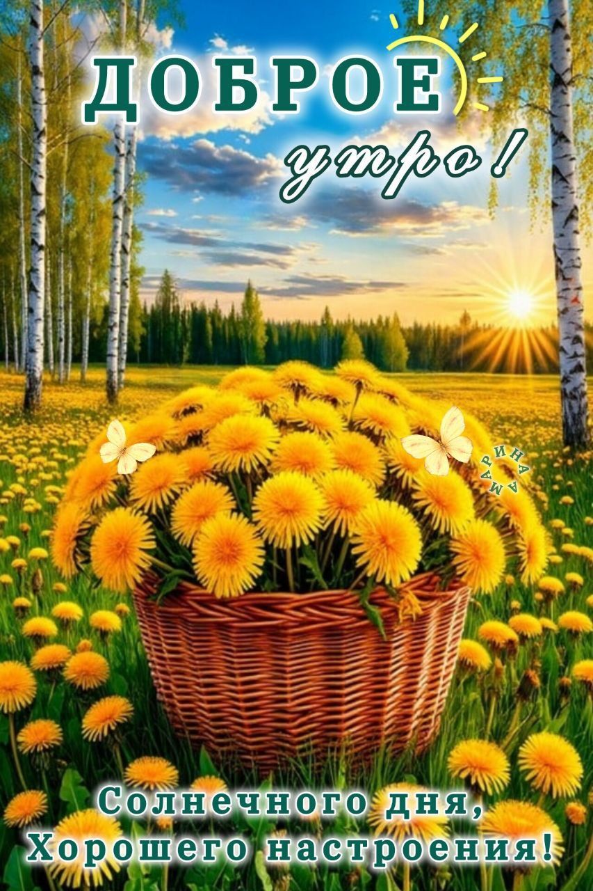 Открытка «С добрым утром»: Доброе утро, солнечного настроения!. Тэги: С добрым, летним утром, С добрым утром, для под…