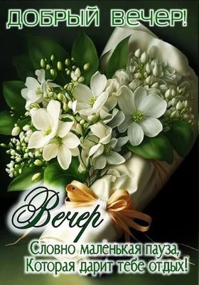 Открытка «Пожелание»: Нежный букет и пожелание доброго вечера. Тэги: улыбка, красивая, позитив, радость, цветок…