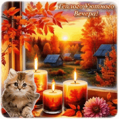 Открытка «Кот»: Тёплого Уютного Вечера! Осенний пейзаж и котёнок. Тэги: пожелание, красивая, цветок, осень, настроение…