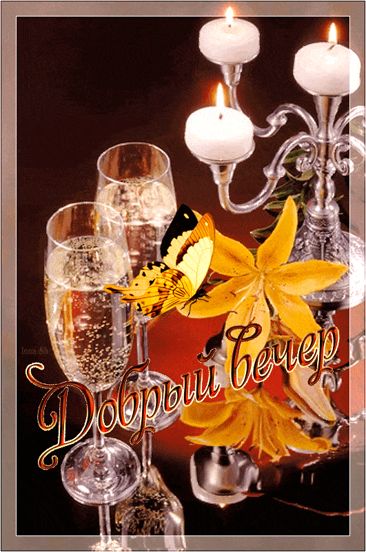 Открытка «Животное»: «Добрый вечер» – нежная открытка со свечами и шампанским. Тэги: пожелание, улыбка, красивая…