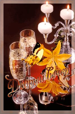 Открытка «Животное»: «Добрый вечер» – нежная открытка со свечами и шампанским. Тэги: пожелание, улыбка, красивая…