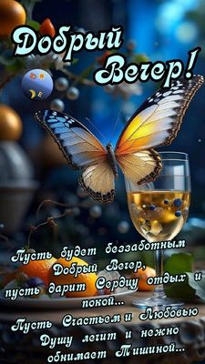 Открытка «Животное»: Красивый «Добрый вечер» с бабочкой и пожеланием. Тэги: пожелание, позитив, радость, уют, настрое…