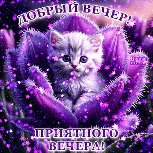 Открытка «Анимационный»: Милый котенок: добрый вечер и приятного вечера!. Тэги: Добрый вечер и пожелания, Доброго веч…