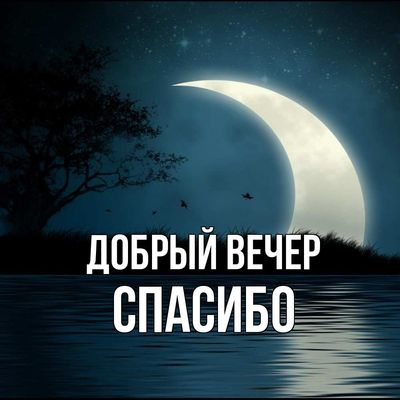 Открытка «Красивая»: Открытка «Добрый вечер, спасибо» с луной над водой. Тэги: позитив, настроение, птица, нежная…