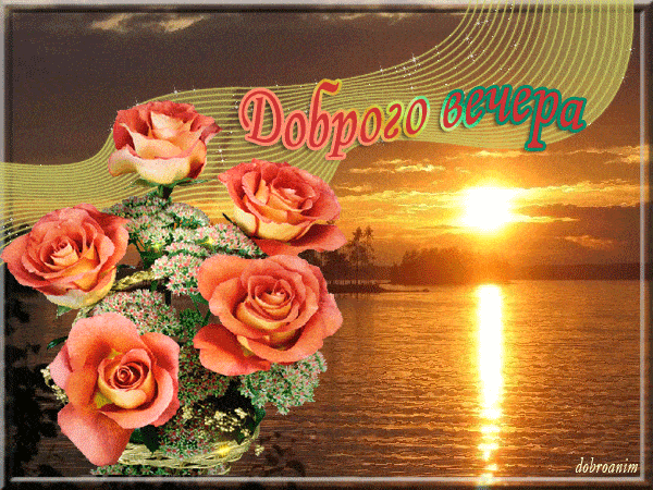 Открытка «Пожелание»: Открытка «Доброго вечера» с букетом роз и закатом. Тэги: красивая, позитив, радость, настроение…