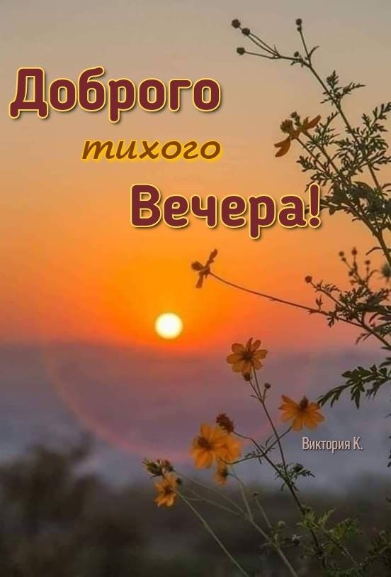 Открытка «Пожелание»: Доброго Тихого Вечера! Красивый закат и цветы. Тэги: красивая, позитив, цветок, настроение…