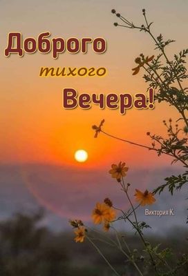 Открытка «Пожелание»: Доброго Тихого Вечера! Красивый закат и цветы. Тэги: красивая, позитив, цветок, настроение…