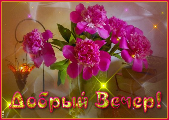 Открытка «Красивая»: Добрый Вечер! Красивые пионы для отличного настроения. Тэги: позитив, радость, цветок, фонарь…