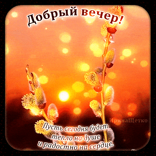 Открытка «Пожелание»: Добрый вечер! Пожелание тепла и радости с вербой. Тэги: красивая, позитив, радость, сердце…