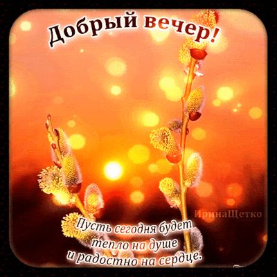 Открытка «Пожелание»: Добрый вечер! Пожелание тепла и радости с вербой. Тэги: красивая, позитив, радость, сердце…