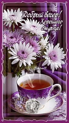 Открытка «Пожелание»: Уютный добрый вечер с цветами и чашечкой чая. Тэги: красивая, цветок, чай, чашка, настроение…