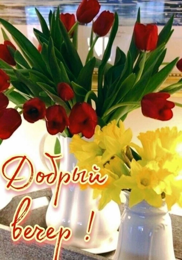 Открытка «Пожелание»: Добрый вечер! Яркие цветы для хорошего настроения. Тэги: улыбка, красивая, позитив, радость…