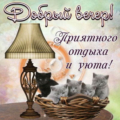 Открытка «Кот»: Добрый вечер! Уют и отдых с милыми котятами. Тэги: животное, пожелание, красивая, позитив, радость…