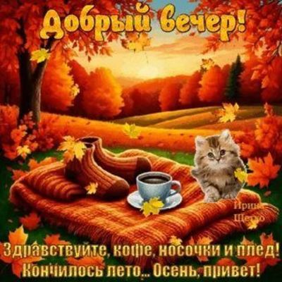 Открытка «Кот»: Добрый вечер! Осень, кофе и пушистый кот. Тэги: пожелание, красивая, кофе, осень, чашка, настроение…