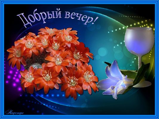Открытка «Пожелание»: Добрый вечер! Красивая открытка с цветами и пожеланием. Тэги: красивая, позитив, цветок, настро…