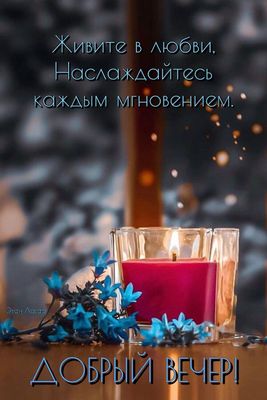 Открытка «Пожелание»: Добрый вечер! Живите в любви и наслаждайтесь. Тэги: красивая, цветок, настроение, нежная, любовь…