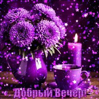 Открытка «Пожелание»: Красивый Добрый Вечер: цветы, свеча и уютное пожелание. Тэги: красивая, позитив, цветок, чашка…