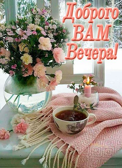 Открытка «Пожелание»: Красивая открытка «Доброго вечера!» и уют. Тэги: красивая, позитив, цветок, чай, окно, чашка…