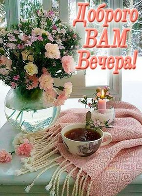 Открытка «Пожелание»: Красивая открытка «Доброго вечера!» и уют. Тэги: красивая, позитив, цветок, чай, окно, чашка…