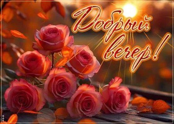 Открытка «Пожелание»: Добрый вечер! Нежные розы и осеннее настроение. Тэги: красивая, позитив, цветок, осень, настрое…