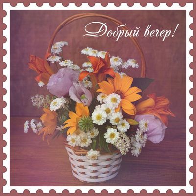 Открытка «Пожелание»: Красивая открытка «Добрый вечер!» с букетом. Тэги: улыбка, красивая, позитив, радость, цветок…