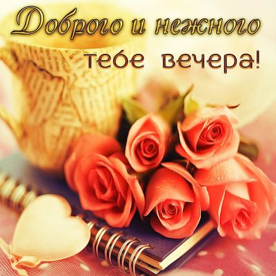 Открытка «Пожелание»: Нежного вечера: красивая открытка с розами. Тэги: сердце, цветок, чашка, настроение, роза…