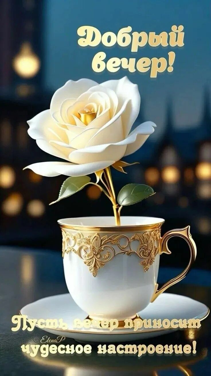 Открытка «Пожелание»: Добрый вечер! Красивая открытка с пожеланием. Тэги: улыбка, друг, позитив, радость, цветок…