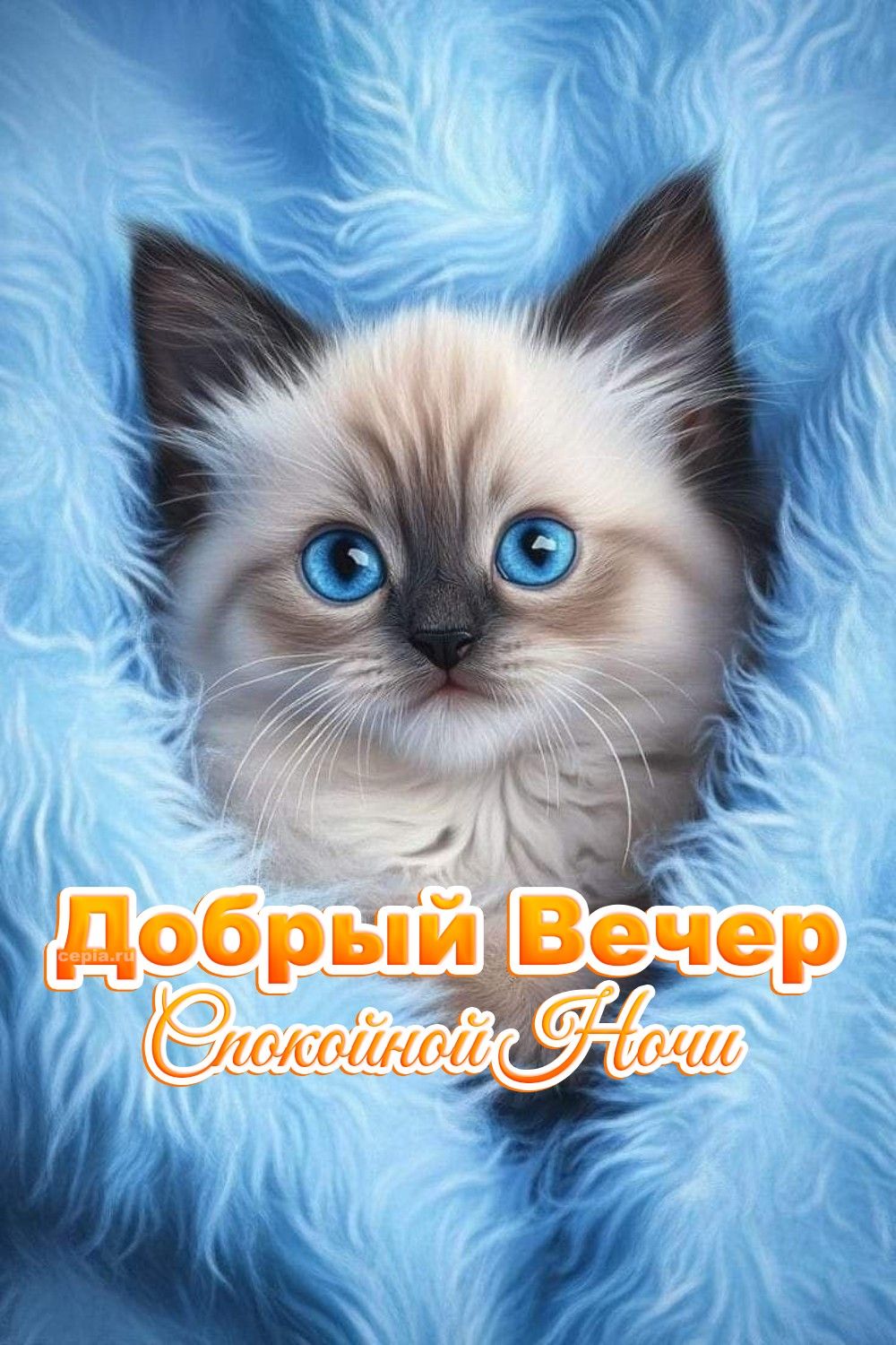 Открытка «Кот»: Милый котенок: Добрый Вечер и Спокойной Ночи. Тэги: животное, пожелание, красивая, позитив, настроение…
