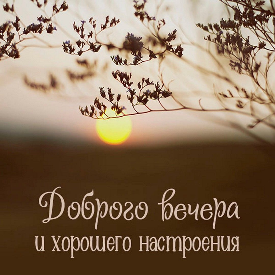 Открытка «Добрый вечер и пожелания»: Красивая открытка: Доброго вечера и настроения. Тэги: Доброго вечера и хорошего…