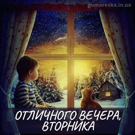 Открытка «Кот»: Отличного вечера, вторника! Уютная зимняя сказка. Тэги: животное, пожелание, уют, окно, настроение…