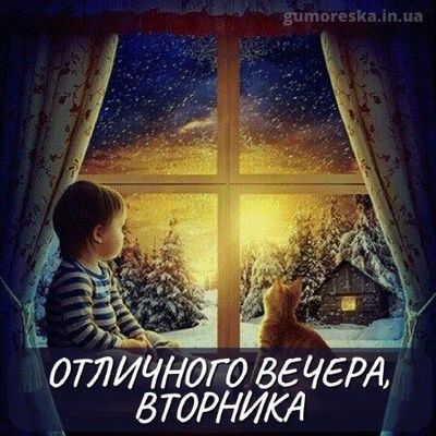 Открытка «Кот»: Отличного вечера, вторника! Уютная зимняя сказка. Тэги: животное, пожелание, уют, окно, настроение…